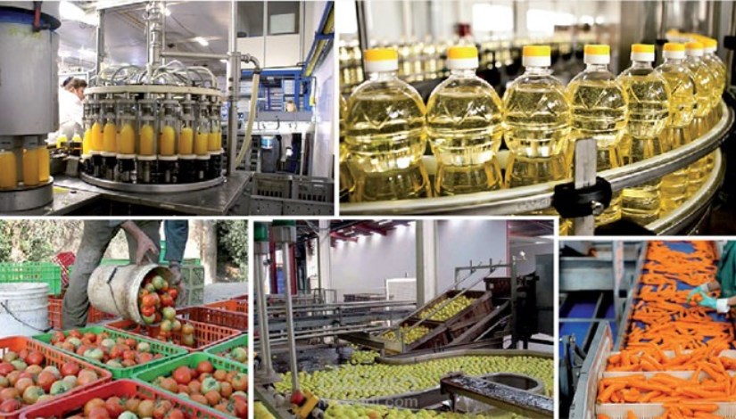 صناعات غذائية