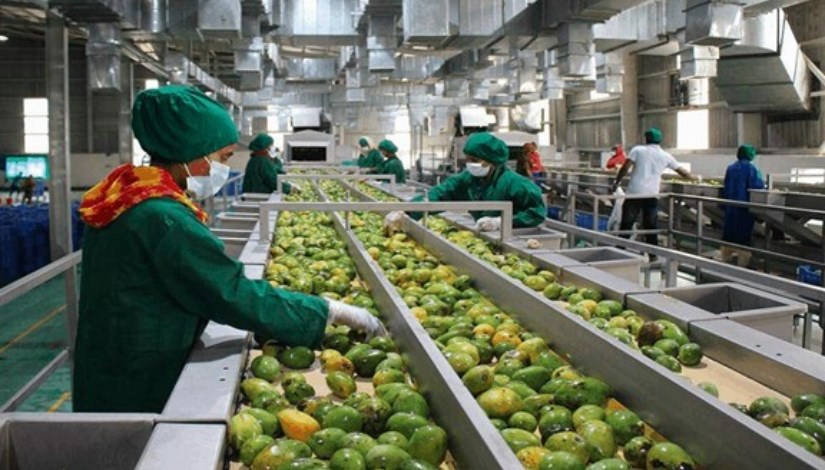 التصنيع الزراعي