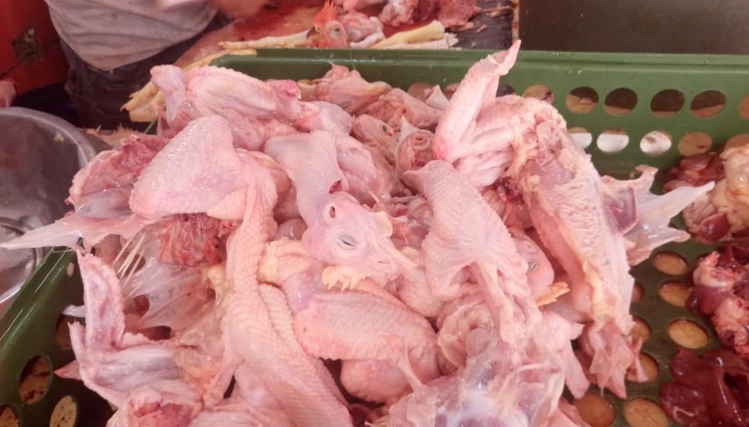 هياكل الدواجن