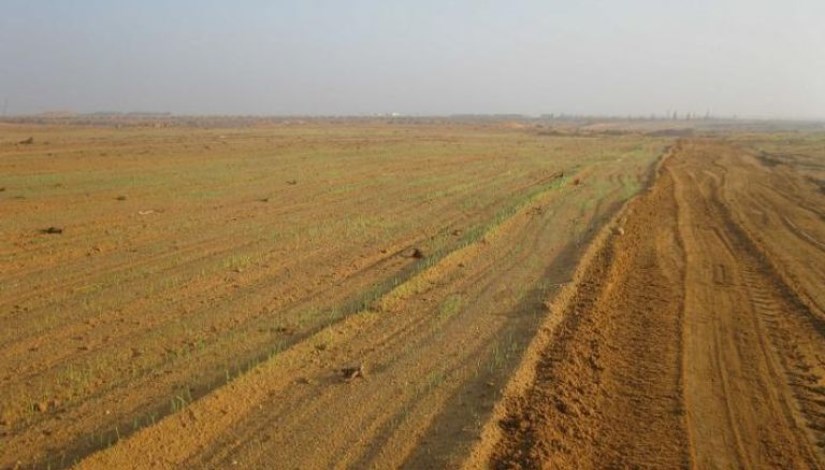 أراضي الدولة