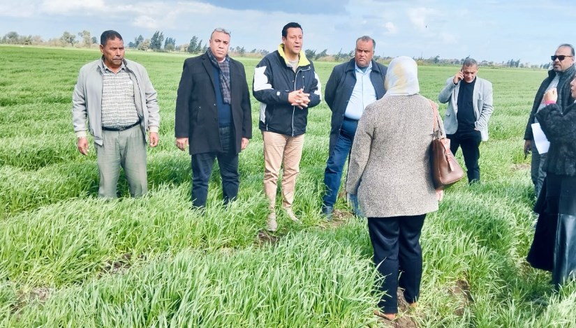 جانب من المرور الميداني على الزراعات