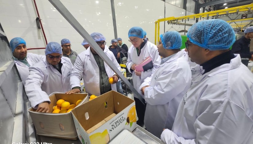 جانب من فحص الصادرات المصرية