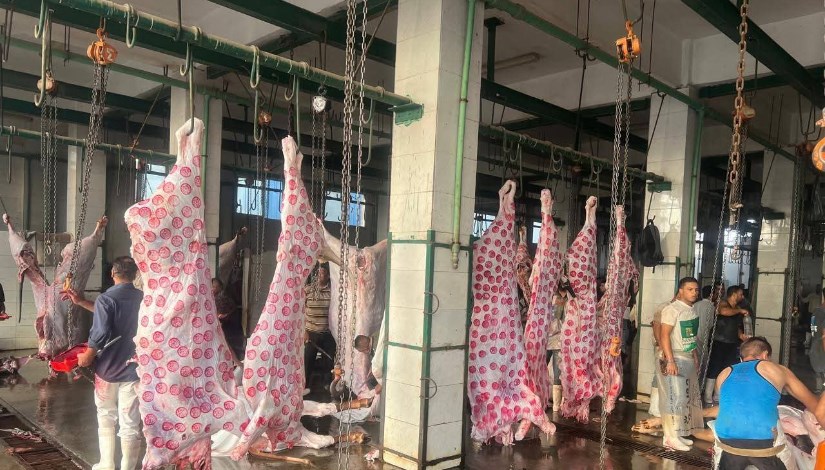 المجازر الحكومية - أرشيفية