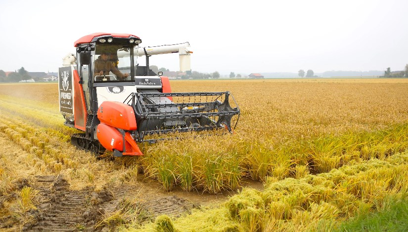  آلات زراعة الأرز 