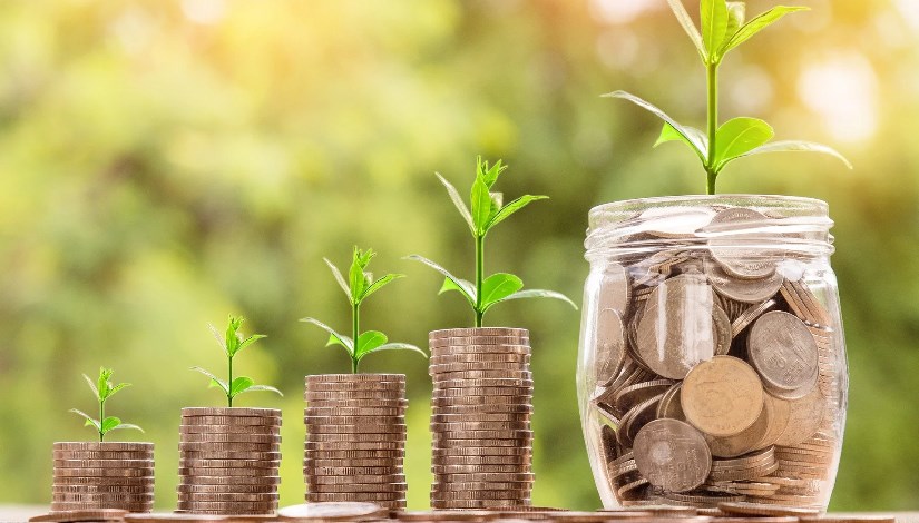 الاستثمار الزراعي في مصر