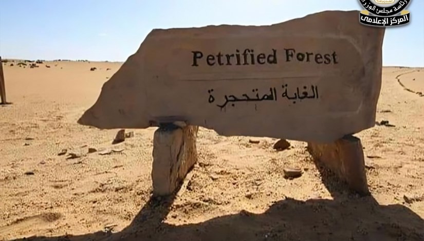 الغابة المتحجرة