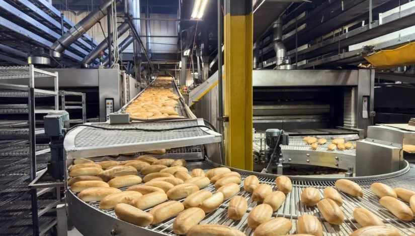 صناعات الغذائية