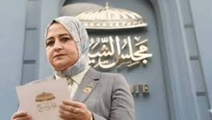  النائبة الدكتورة مروة قنصوه، أمين سر لجنة الطاقة والبيئة والقوى العاملة بمجلس الشيوخ