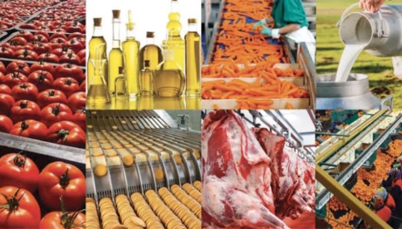 الصناعات الغذائية 