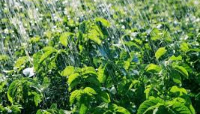 مركز المناخ يحذر: “ليالي الصوالح السود بدأت