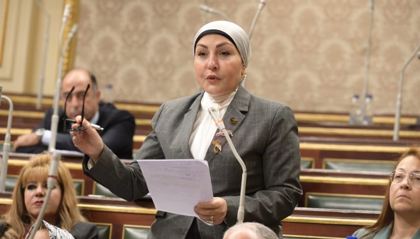 النائبة هالة أبو السعد رئيس الاتحاد المصري لتمويل المشروعات الصغيرة والمتوسطة 