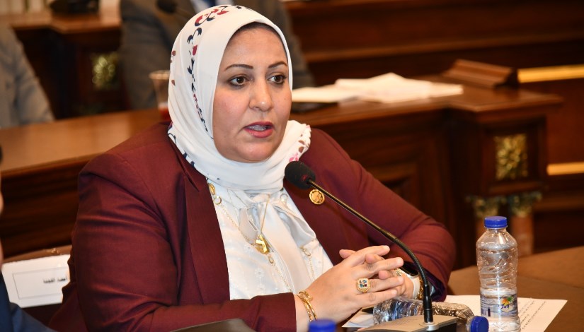  النائبة غادة الضبع، عضو مجلس الشيوخ