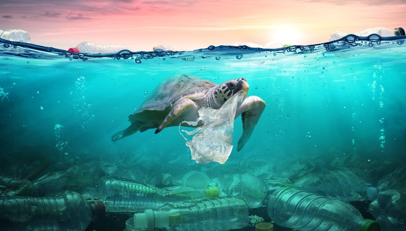 الحفاظ على البيئة البحرية