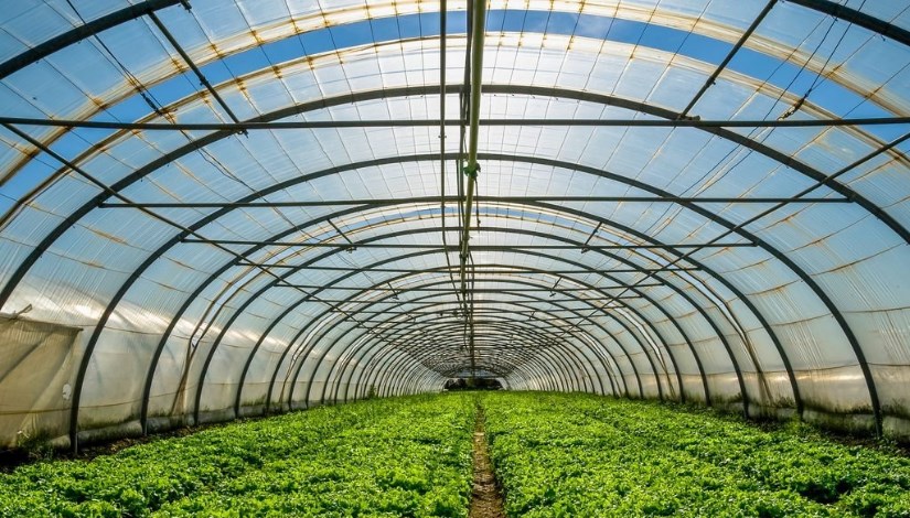 الصوب الزراعية