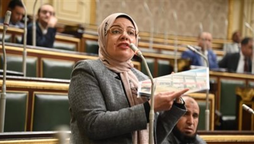 النائبة ريهام عبد النبي