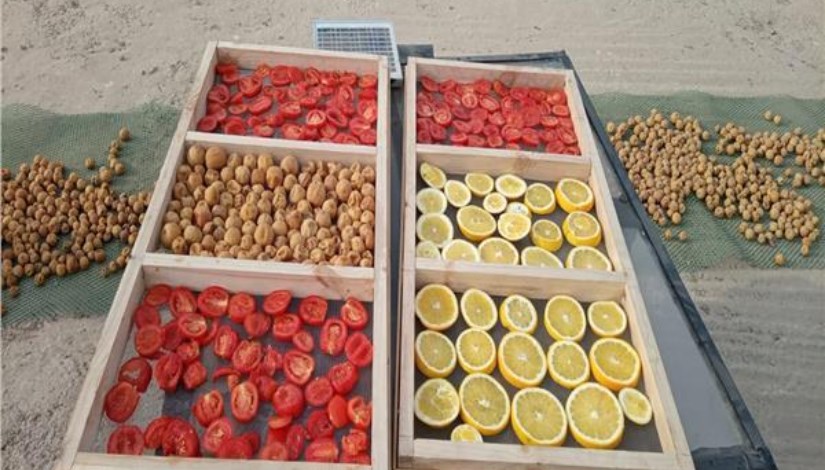 تجفيف الحاصلات الزراعية