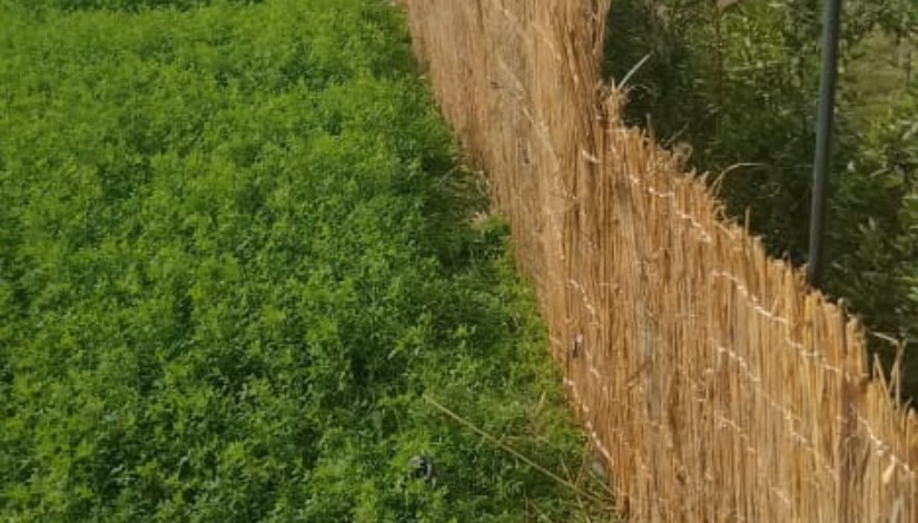 الأراضي الزراعية