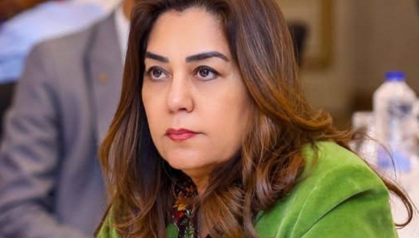  الدكتورة منال عوض، وزيرة التنمية المحلية والقائم بأعمال وزير البيئة