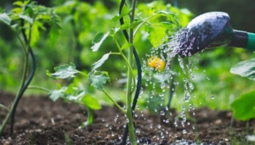  التأثيرات المناخية