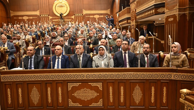  مجلس الشيوخ