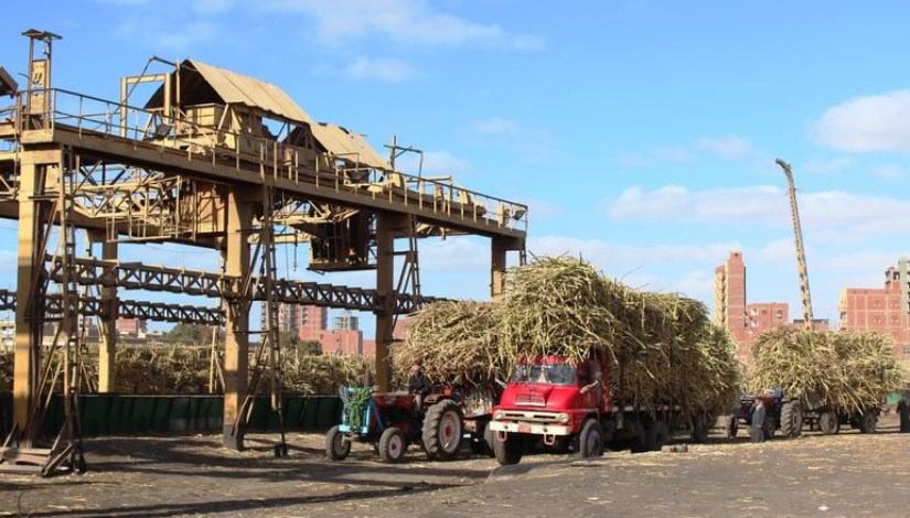 مصنع سكر أبو قرقاص