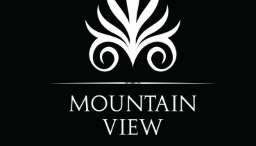 شعار شركة ماونتن فيو