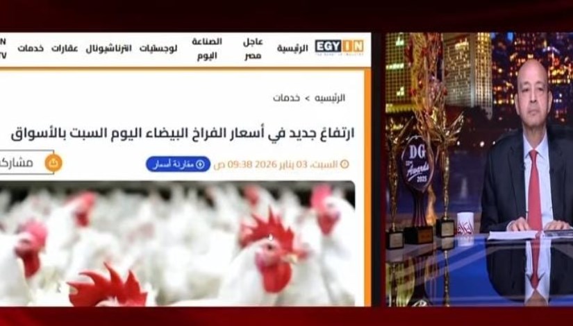 أسعار الفراخ البيضاء