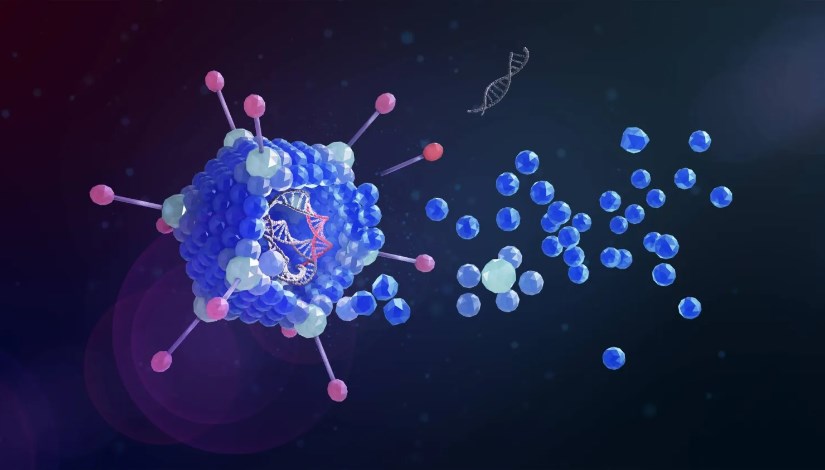 النشاط الجيني