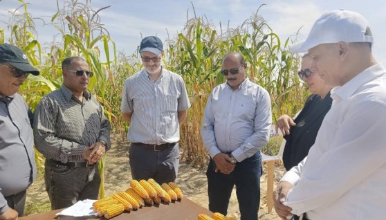 وفدا من جامعة النيل والوكالة الإسبانية للتعاون والتنمية