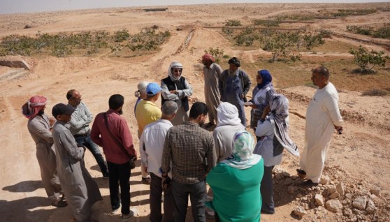  وفد الصندوق الدولي للتنمية الزراعية «إيفاد»  أثناء زيارته لمحافظة مطروح