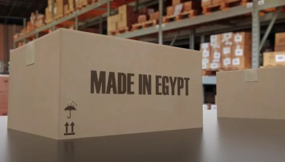 صنع في مصر 