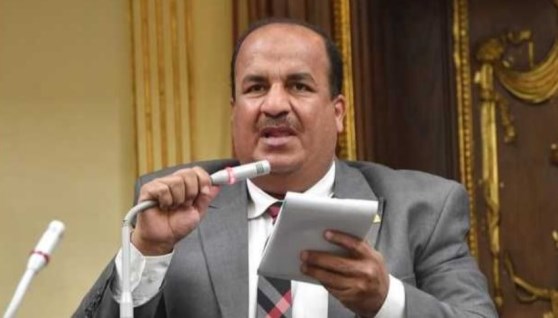الدكتور محمد عبد الحميد- عضو مجلس النواب