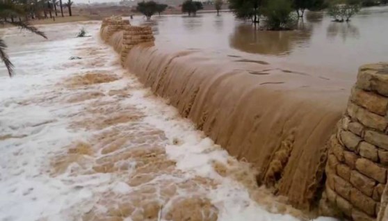 أرشيفية
