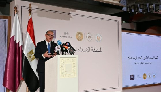  الدكتور محمد فريد، وزير الاستثمار والتجارة الخارجية