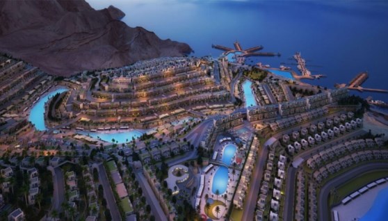 الفرصة الاستثمارية