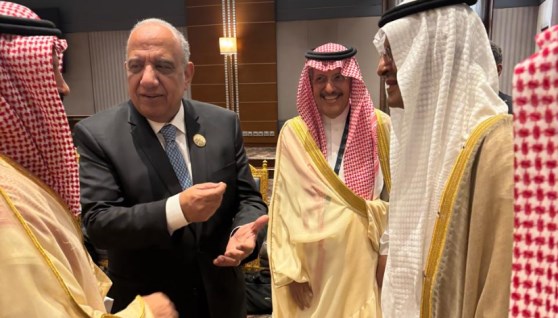 وزير الكهرباء الدكتور محمود عصمت
