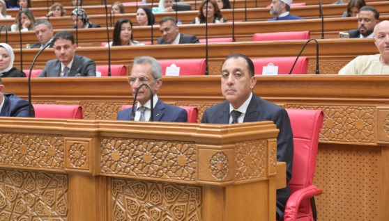 رئيس الوزراء في مجلس النواب
