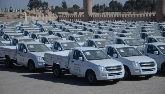 المشروع القومي لتشغيل الشباب