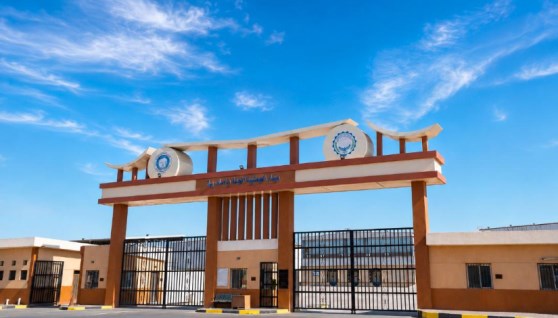  ميناء العامرية الجاف 