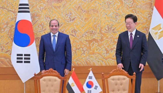 زيارة الرئيس السيسي لكوريا الجنوبية 