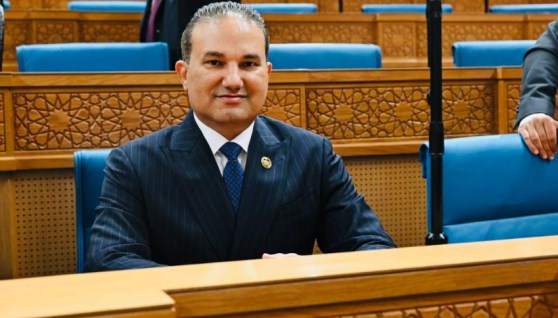 تامر عبد الحميد 