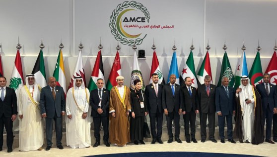  الدكتور محمود عصمت وزير الكهرباء والطاقة المتجددة