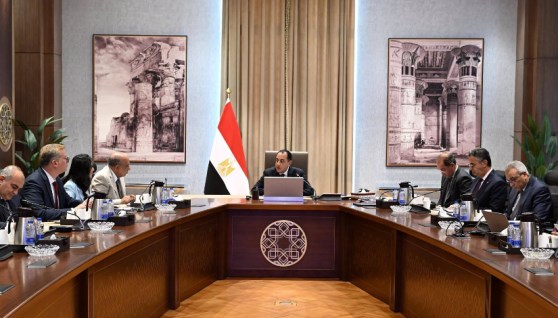 الدكتور مصطفى 
