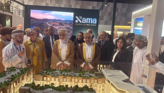 المهندسة راندة المنشاوي