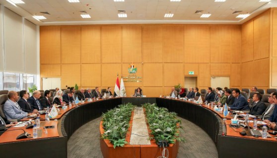 المهندسة راندة المنشاوي  