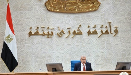 مجلس الشيوخ