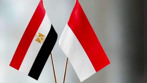 علم مصر واندونيسيا