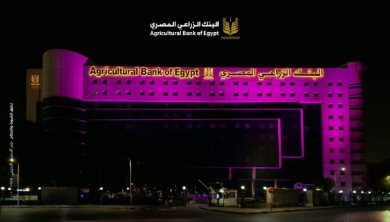 البنك الزراعي المصري- صورة من الفاعلية