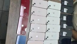 المضبوطات