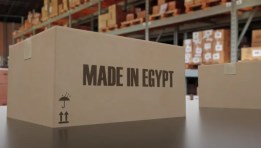 صنع في مصر 